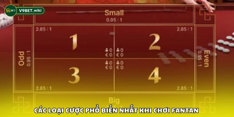 Các loại cược phổ biến nhất khi chơi Fantan 