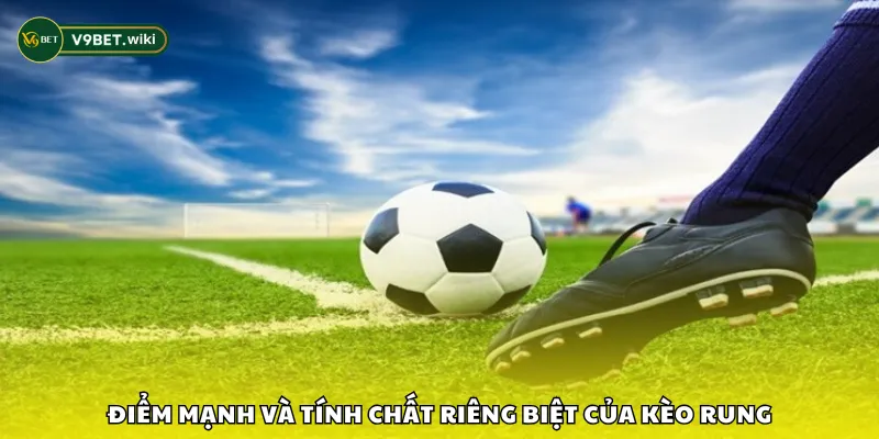 Điểm mạnh và tính chất riêng biệt của kèo rung